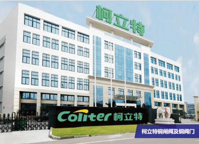 特别策划,八家精选品牌等你来盘!- 特别策划,八家精选品牌等你来盘!-